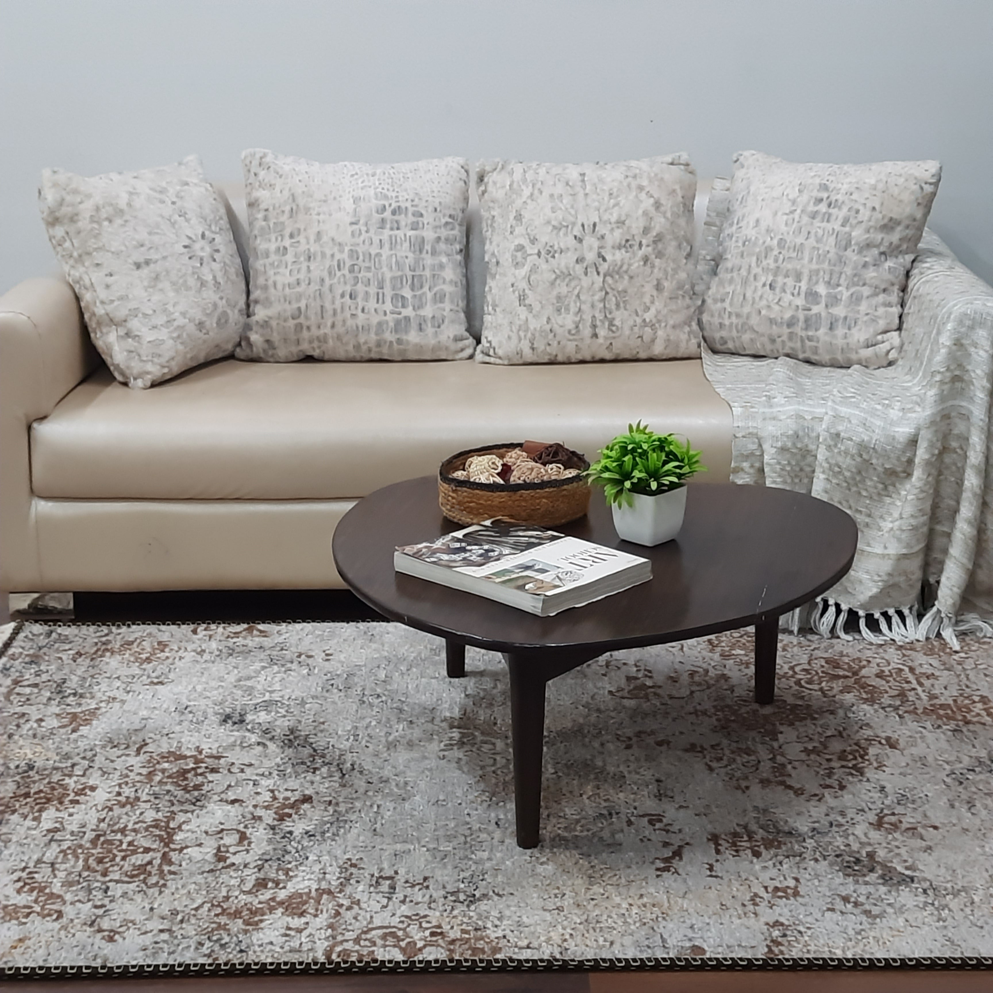 Avioni Faux Silk Carpet for a Stylish and Modern Living Room Abstract Vintage theme | Durable and Washable