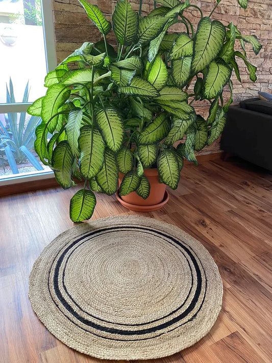 Avioni Natural Jute With Black Border Braided Carpet Eco Friendly-Multicolour Boho Collection-Multiple Sizes